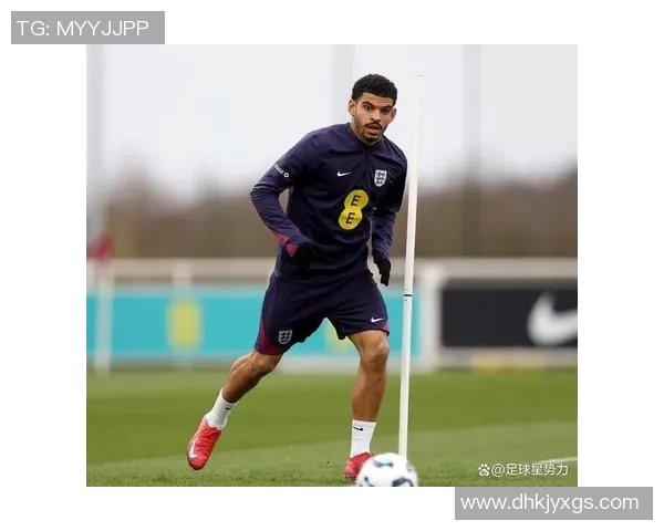 吉布斯足球明星的辉煌历程与成就分析，探索他在足球界的影响力与贡献