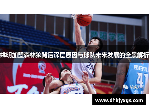 姚明加盟森林狼背后深层原因与球队未来发展的全景解析
